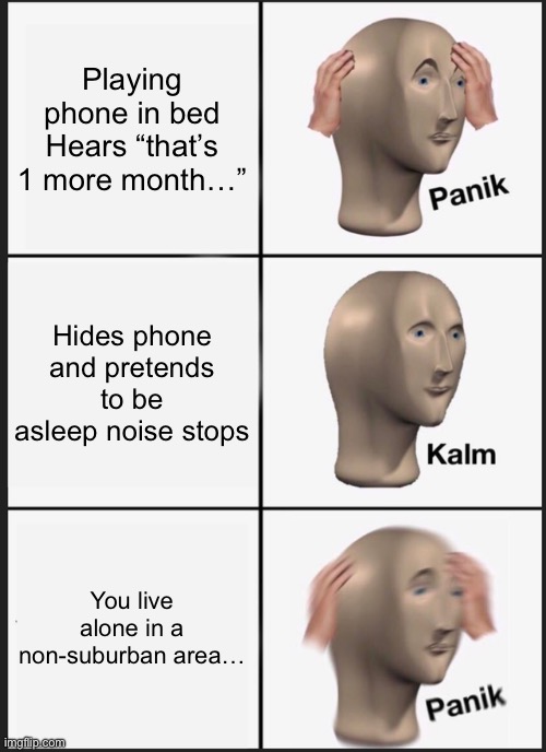 should I follow the voices? | Playing phone in bed Hears “that’s 1 more month…”; Hides phone and pretends to be asleep noise stops; You live alone in a non-suburban area… | image tagged in memes,panik kalm panik,funny | made w/ Imgflip meme maker