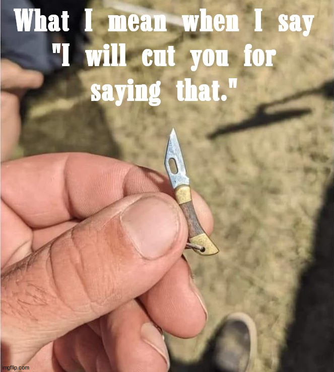 I will cut you | image tagged in cut | made w/ Imgflip meme maker