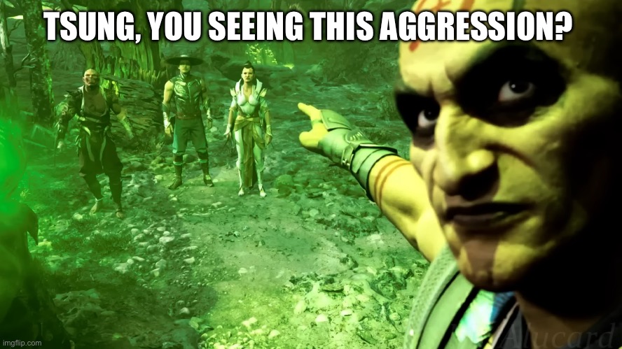 M1K Quan Chi Pointing | TSUNG, YOU SEEING THIS AGGRESSION? | image tagged in m1k quan chi pointing | made w/ Imgflip meme maker