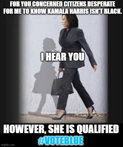 Kamala Harris Qualified | image tagged in kamala,kamala harris,vice president,president harris,democrats | made w/ Imgflip meme maker