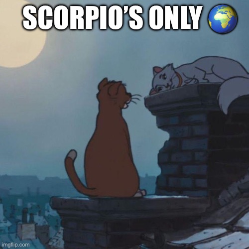 Scorpio | SCORPIO’S ONLY 🌍 | image tagged in scorpio,scorpios,cat,cats,moon,romance | made w/ Imgflip meme maker