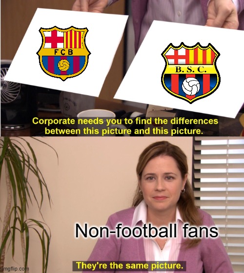 They're The Same Picture | Non-football fans | image tagged in memes,they're the same picture | made w/ Imgflip meme maker