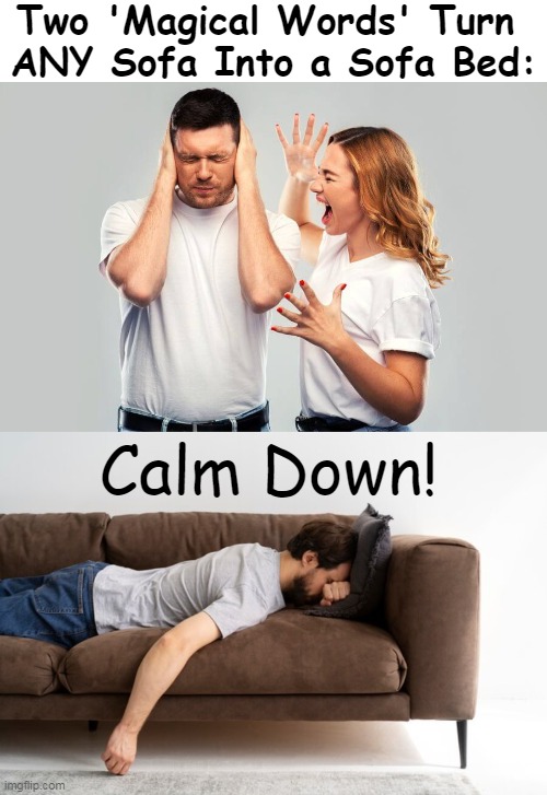 Life Hack #101 | Two 'Magical Words' Turn 
ANY Sofa Into a Sofa Bed:; Calm Down! | image tagged in fun,hard times,men and women,difference between men and women,know the difference,life hack | made w/ Imgflip meme maker