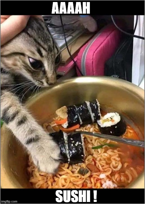 Cat Loves Japanese Cuisine ! | AAAAH; SUSHI ! | image tagged in cats,sushi | made w/ Imgflip meme maker