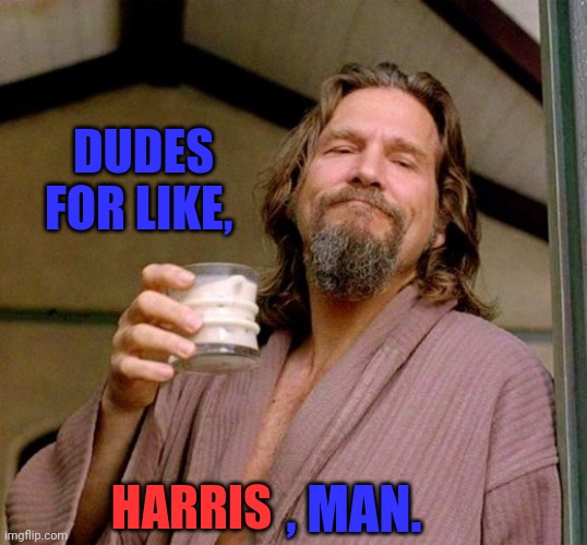 Saw it as a shirt on tiktok. | DUDES FOR LIKE, , MAN. HARRIS | image tagged in big lebowski | made w/ Imgflip meme maker