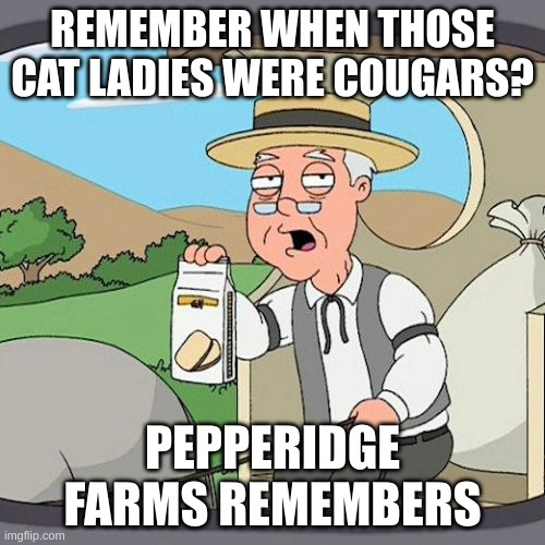 cat ladies | REMEMBER WHEN THOSE CAT LADIES WERE COUGARS? PEPPERIDGE FARMS REMEMBERS | image tagged in memes,pepperidge farm remembers | made w/ Imgflip meme maker