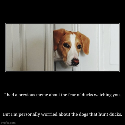 I had a previous meme about the fear of ducks watching you. | But I'm personally worried about the dogs that hunt ducks. | image tagged in funny,demotivationals | made w/ Imgflip demotivational maker