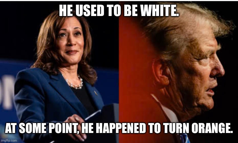 Pronouns | HE USED TO BE WHITE. AT SOME POINT, HE HAPPENED TO TURN ORANGE. | image tagged in kamala harris | made w/ Imgflip meme maker