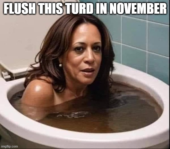 I hate floaters | FLUSH THIS TURD IN NOVEMBER | image tagged in stupid liberals,funny memes,kamala harris,flush,donald trump approves,political humor | made w/ Imgflip meme maker