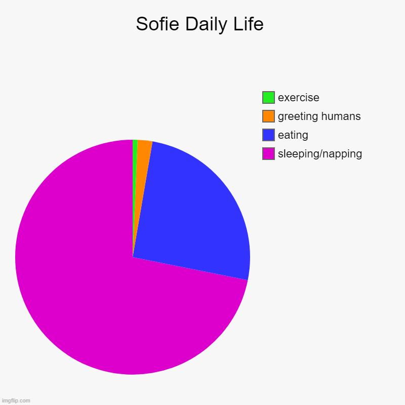Sofie Daily Life | sleeping/napping, eating, greeting humans, exercise | image tagged in charts,pie charts | made w/ Imgflip chart maker
