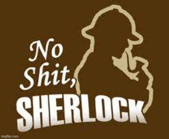 No shit sherlock | image tagged in no shit sherlock | made w/ Imgflip meme maker