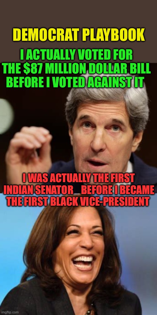 If DEI matters, you will bring it up. Then deny it applies to you. | DEMOCRAT PLAYBOOK; I ACTUALLY VOTED FOR THE $87 MILLION DOLLAR BILL BEFORE I VOTED AGAINST IT; I WAS ACTUALLY THE FIRST INDIAN SENATOR    BEFORE I BECAME THE FIRST BLACK VICE-PRESIDENT | image tagged in gifs,democrats,kamala harris,woke,incompetence,radical | made w/ Imgflip meme maker