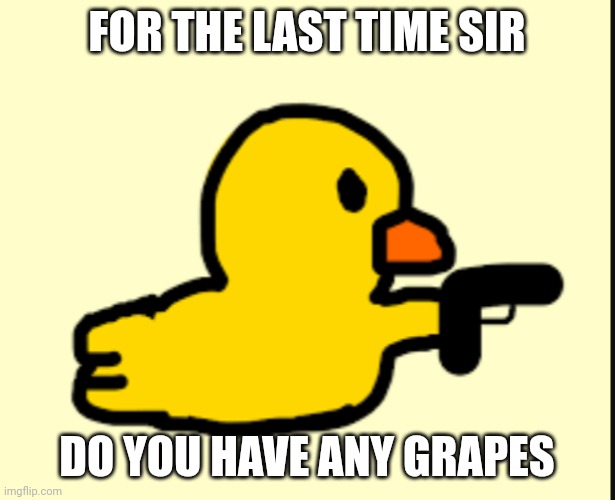 Last straw | FOR THE LAST TIME SIR; DO YOU HAVE ANY GRAPES | image tagged in duck,the duck song | made w/ Imgflip meme maker