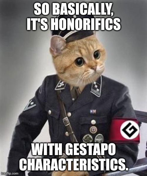 Grammar Nazi Cat | SO BASICALLY, IT'S HONORIFICS WITH GESTAPO CHARACTERISTICS. | image tagged in grammar nazi cat | made w/ Imgflip meme maker