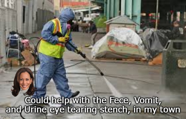 Could help with the Fece, Vomit, and Urine eye tearing stench, in my town | made w/ Imgflip meme maker