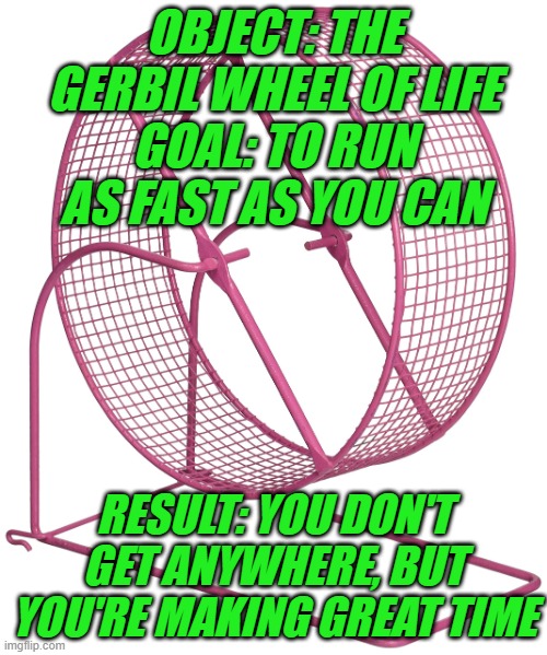 The Gerbil Wheel of Life | OBJECT: THE GERBIL WHEEL OF LIFE
GOAL: TO RUN AS FAST AS YOU CAN; RESULT: YOU DON'T GET ANYWHERE, BUT YOU'RE MAKING GREAT TIME | image tagged in real life,futility | made w/ Imgflip meme maker