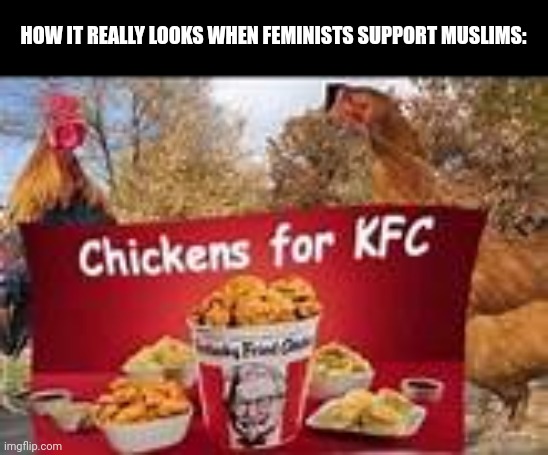 Chickens for KFC | HOW IT REALLY LOOKS WHEN FEMINISTS SUPPORT MUSLIMS: | image tagged in chickens for kfc | made w/ Imgflip meme maker