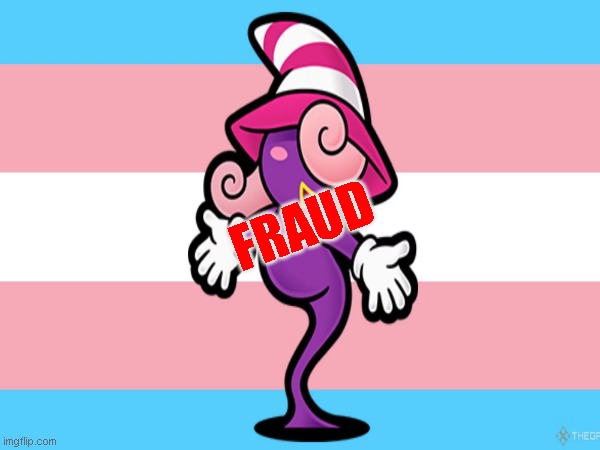 vivian no is trans point ok | FRAUD | image tagged in paper mario,gaming,woke,transgender | made w/ Imgflip meme maker