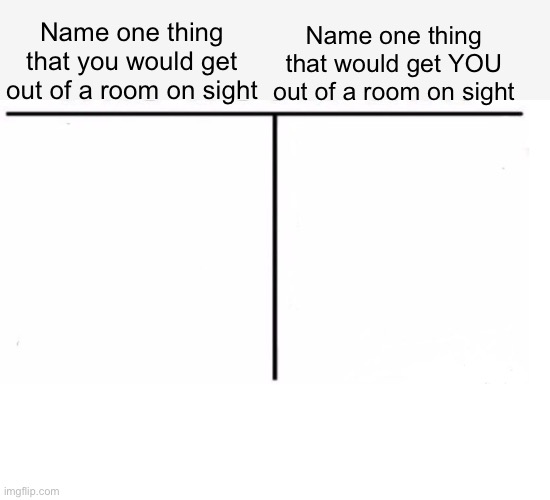 comparison table | Name one thing that you would get out of a room on sight; Name one thing that would get YOU out of a room on sight | image tagged in comparison table | made w/ Imgflip meme maker