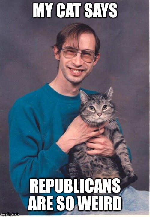 The Cat is terrified | MY CAT SAYS; REPUBLICANS ARE SO WEIRD | image tagged in cat-nerd,weird stuff,easy words,dems not to intelligent,weirdo,weird science | made w/ Imgflip meme maker