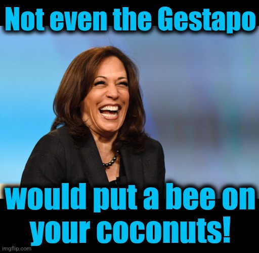 Not even the Gestapo would put a bee on
your coconuts! | image tagged in kamala harris laughing,blank black | made w/ Imgflip meme maker