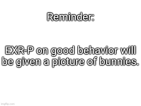 Reminder:
 
 
EXR-P on good behavior will
be given a picture of bunnies. | made w/ Imgflip meme maker