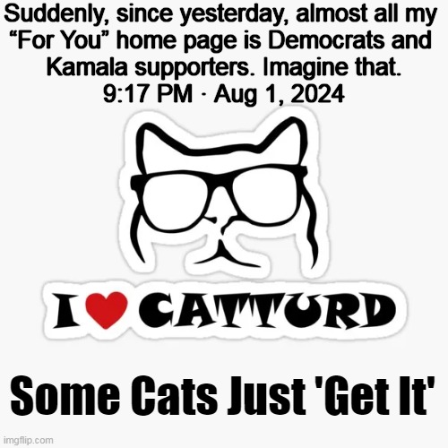 "Time spent with cats is never wasted." ~~ Unknown | Suddenly, since yesterday, almost all my 
“For You” home page is Democrats and 
Kamala supporters. Imagine that.
9:17 PM · Aug 1, 2024; Some Cats Just 'Get It' | image tagged in catturd,smart,something's wrong i can feel it,kamala harris,democrats,political humor | made w/ Imgflip meme maker