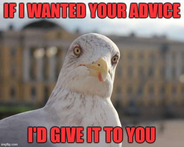 Arrogant seagull | IF I WANTED YOUR ADVICE; I'D GIVE IT TO YOU | image tagged in arrogant seagull,funny | made w/ Imgflip meme maker