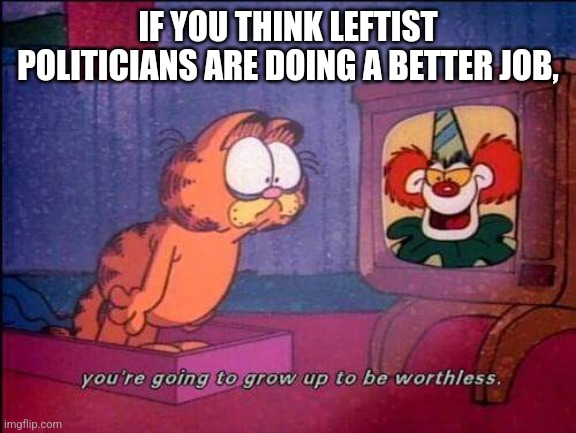 Garfield and binky the clown | IF YOU THINK LEFTIST POLITICIANS ARE DOING A BETTER JOB, | image tagged in garfield and binky the clown | made w/ Imgflip meme maker