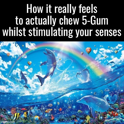 Happy dolphin rainbow | How it really feels to actually chew 5-Gum whilst stimulating your senses | image tagged in happy dolphin rainbow | made w/ Imgflip meme maker