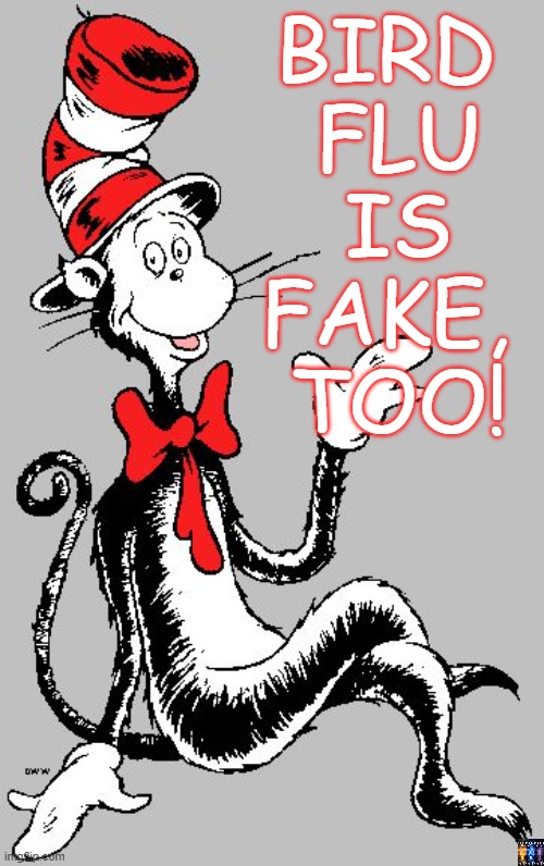 It's all fake | BIRD 
FLU

IS

FAKE, 

TOO! | image tagged in dr seuss,covid,covid-19,covid19,plandemic | made w/ Imgflip meme maker