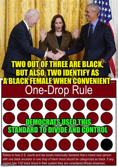 Democrat convenience appears again | TWO OUT OF THREE ARE BLACK, BUT ALSO, TWO IDENTIFY AS A BLACK FEMALE WHEN CONVENIENT; DEMOCRATS USED THIS STANDARD TO DIVIDE AND CONTROL | image tagged in agreement reached,biden,barack obama,kamala harris,democrat | made w/ Imgflip meme maker