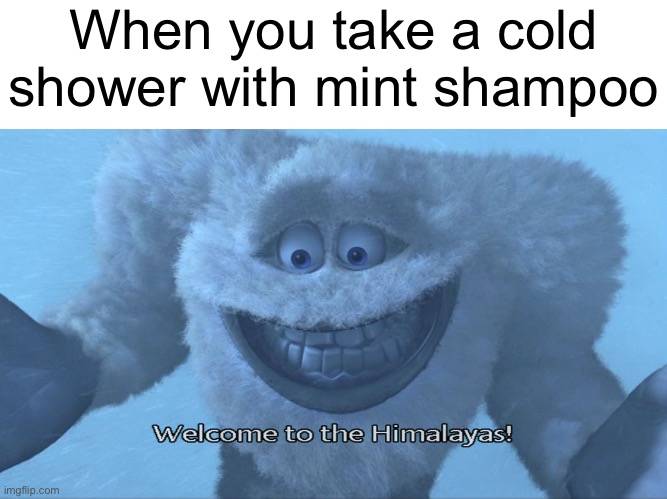 Welcome to the himalayas | When you take a cold shower with mint shampoo | image tagged in welcome to the himalayas | made w/ Imgflip meme maker