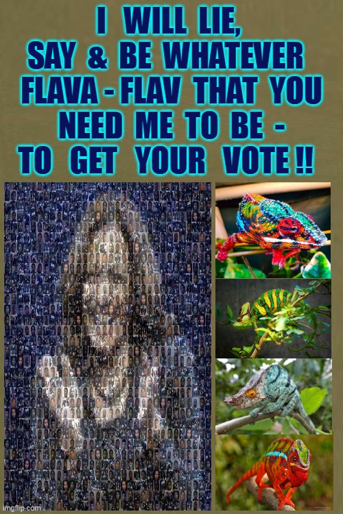 KACKLING KAMALA The KAMELEON . . . Don't be FOOLED by Her flip-flopping on the issues !! | I   WILL  LIE,  SAY  &  BE  WHATEVER  
FLAVA - FLAV  THAT  YOU  NEED  ME  TO  BE  -  TO   GET   YOUR   VOTE !! | image tagged in kamala harris,flip flops,issues,liar,i need you,votes | made w/ Imgflip meme maker