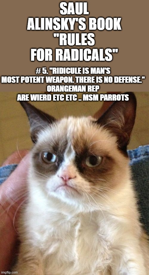 Grumpy Cat Meme | SAUL ALINSKY'S BOOK "RULES FOR RADICALS"; # 5. "RIDICULE IS MAN'S MOST POTENT WEAPON. THERE IS NO DEFENSE."
ORANGEMAN REP ARE WIERD ETC ETC .. MSM PARROTS | image tagged in memes,grumpy cat | made w/ Imgflip meme maker