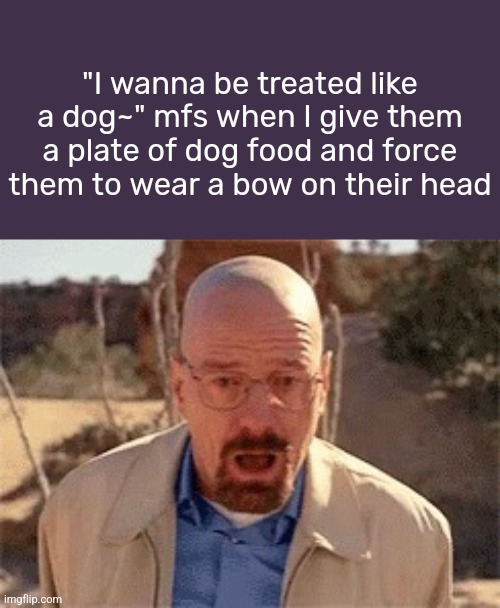 Walter White | "I wanna be treated like a dog~" mfs when I give them a plate of dog food and force them to wear a bow on their head | image tagged in walter white | made w/ Imgflip meme maker