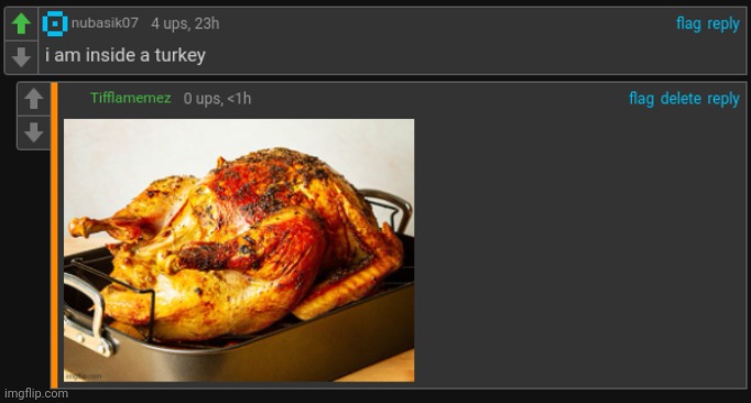 Roasted turkey | image tagged in bro is not delted,turkey | made w/ Imgflip meme maker