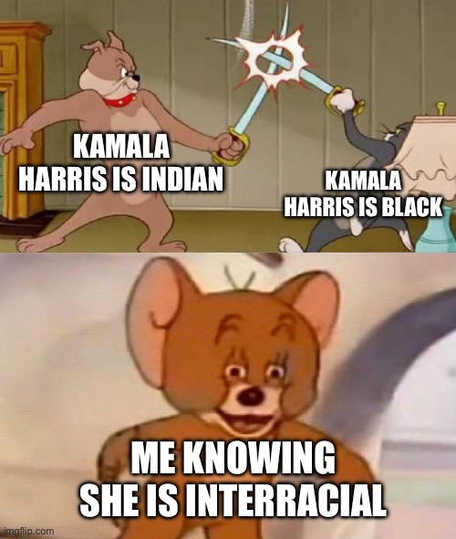 She is interracial | KAMALA HARRIS IS INDIAN; KAMALA HARRIS IS BLACK; ME KNOWING SHE IS INTERRACIAL | image tagged in tom and jerry swordfight | made w/ Imgflip meme maker