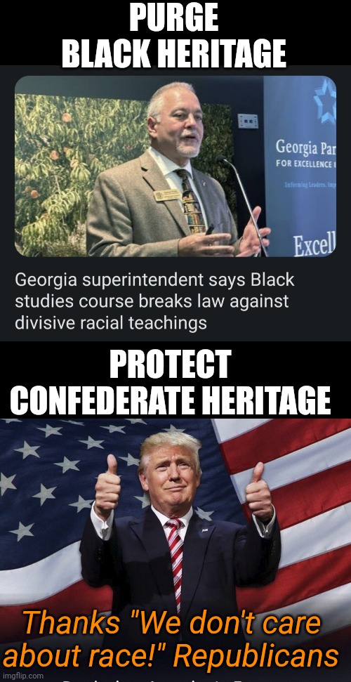 They make it so easy. You almost feel sorry for them lmfao | PURGE BLACK HERITAGE; PROTECT CONFEDERATE HERITAGE; Thanks "We don't care about race!" Republicans | image tagged in blank black,donald trump thumbs up,comedy | made w/ Imgflip meme maker