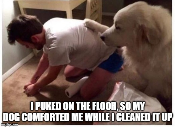 So Comforting | I PUKED ON THE FLOOR, SO MY DOG COMFORTED ME WHILE I CLEANED IT UP | image tagged in dogs | made w/ Imgflip meme maker