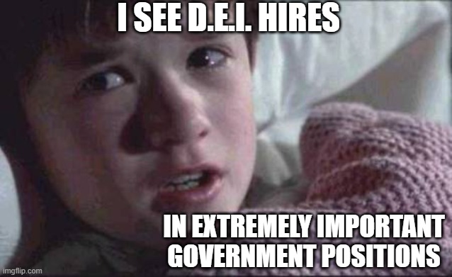 I See Dead People | I SEE D.E.I. HIRES; IN EXTREMELY IMPORTANT GOVERNMENT POSITIONS | image tagged in memes,i see dead people | made w/ Imgflip meme maker