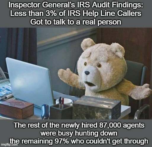 What are 87,000 IRS Agents doing with guns? | Inspector General’s IRS Audit Findings:
Less than 3% of IRS Help Line Callers
Got to talk to a real person; The rest of the newly hired 87,000 agents
were busy hunting down the remaining 97% who couldn't get through | image tagged in what do you mean,87000 irs agents,irs,internal revenue service | made w/ Imgflip meme maker