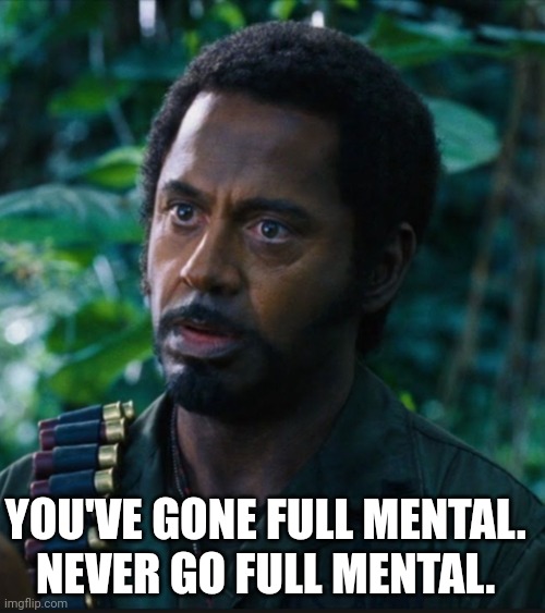 full retart | YOU'VE GONE FULL MENTAL.
NEVER GO FULL MENTAL. | image tagged in full retart | made w/ Imgflip meme maker