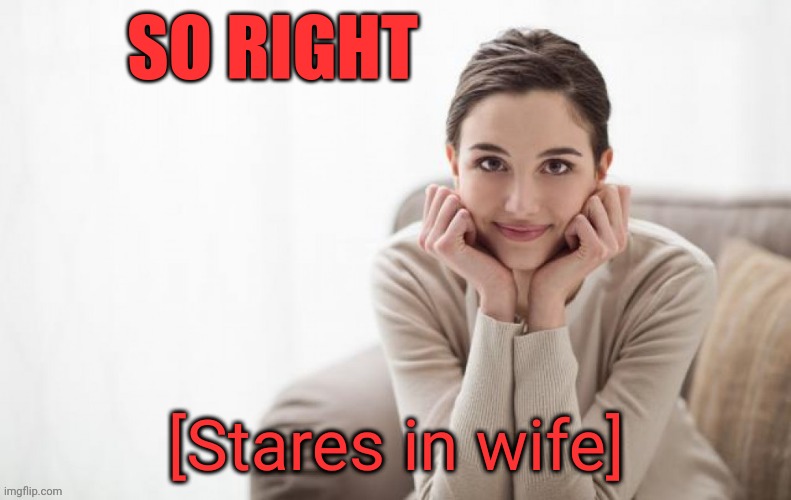 stares in wife | SO RIGHT | image tagged in stares in wife | made w/ Imgflip meme maker