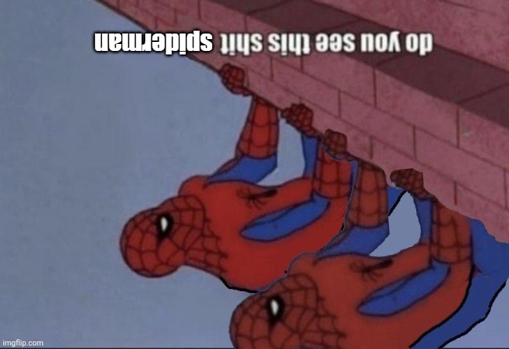 Do you see this shit spiderman | image tagged in do you see this shit spiderman | made w/ Imgflip meme maker