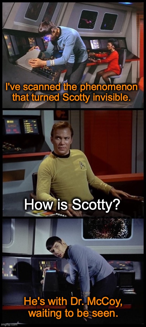 Invisible Scotty | I've scanned the phenomenon that turned Scotty invisible. How is Scotty? He's with Dr. McCoy, waiting to be seen. | image tagged in star trek 3-panel spock kirk spock | made w/ Imgflip meme maker