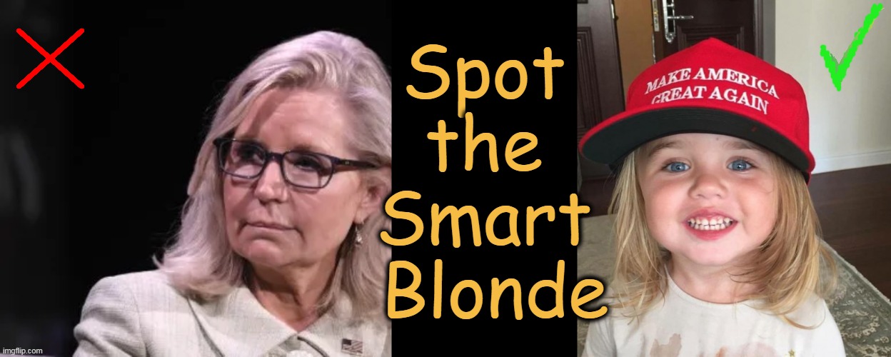 MAGA | Spot 
the 
Smart 
Blonde | image tagged in blondes,dumb blonde,smart blonde,make america great again,political humor | made w/ Imgflip meme maker