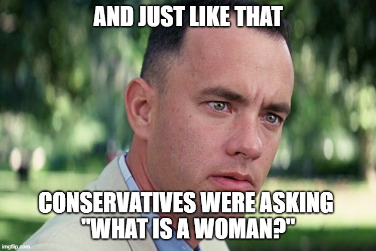 And Just Like That Meme | AND JUST LIKE THAT; CONSERVATIVES WERE ASKING 
"WHAT IS A WOMAN?" | image tagged in memes,and just like that | made w/ Imgflip meme maker