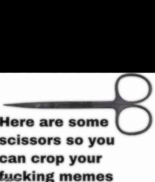 i cropped the meme | image tagged in here are some scissors so you can crop your fucking memes | made w/ Imgflip meme maker