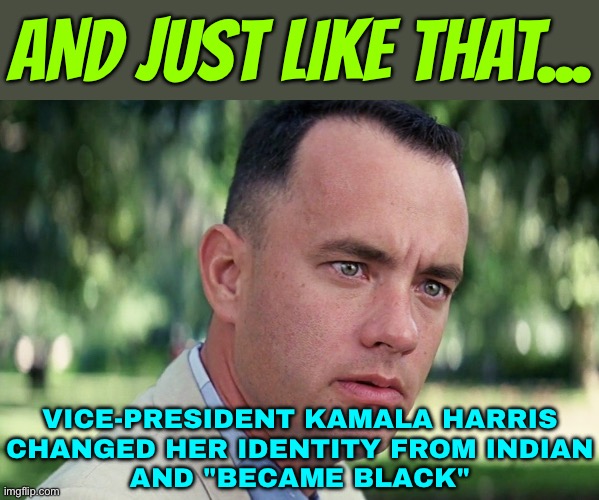 Kamala Harris Changed Her Identity From Indian And "Became Black" | AND JUST LIKE THAT... VICE-PRESIDENT KAMALA HARRIS
CHANGED HER IDENTITY FROM INDIAN
AND "BECAME BLACK" | image tagged in memes,and just like that,racism,democrats,donald trump,kamala harris | made w/ Imgflip meme maker